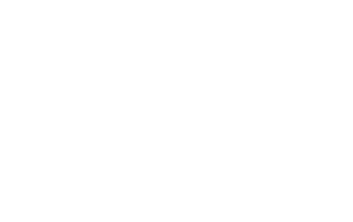 19-capitalone