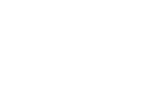 2-robittusin