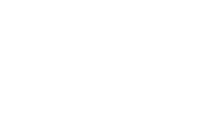 20-michelin